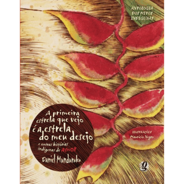 daniel-munduruku-primeira-estrela-vejo-desejo